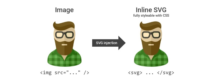 SC-307-svginject1.jpg 